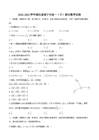 2022-2023学年湖北省咸宁市高一（下）期末数学试卷（含详细答案解析）