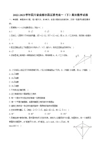 2022-2023学年四川省成都市四区联考高一（下）期末数学试卷（含详细答案解析）