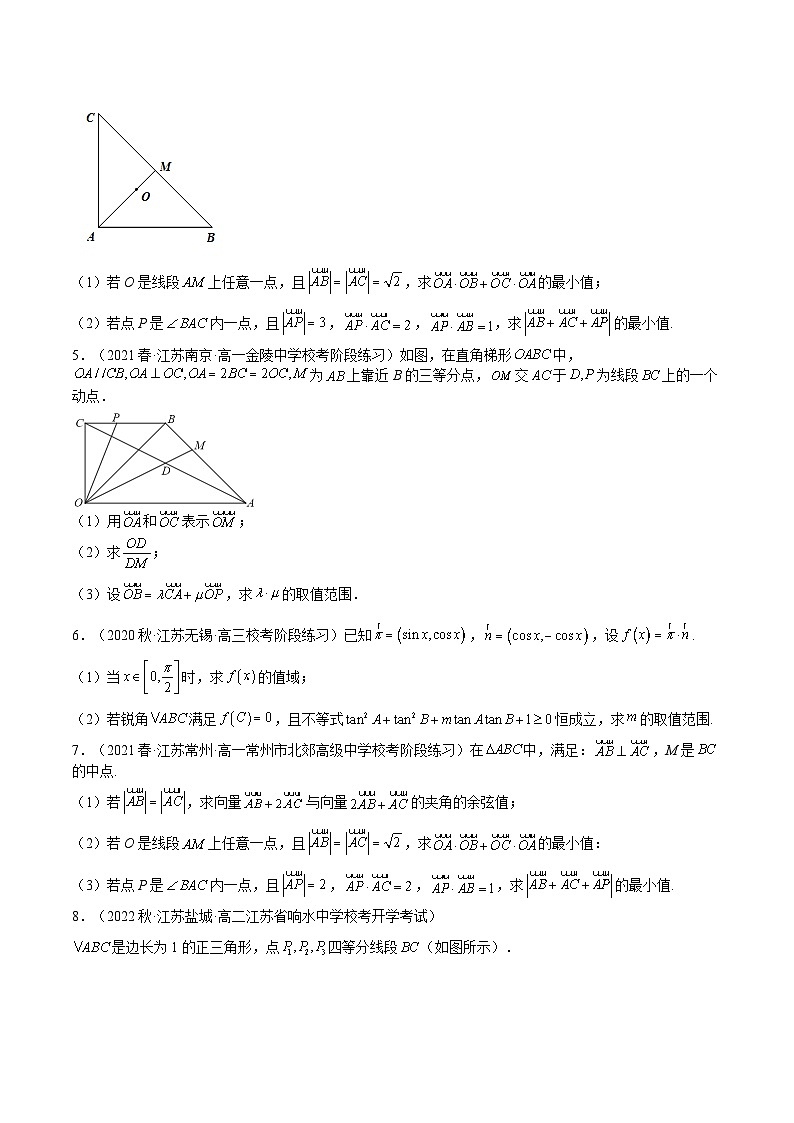 特训01 期中压轴题（江苏精选归纳）-2023-2024学年高一数学下学期期中期末重难点冲刺（苏教版2019必修第二册）02