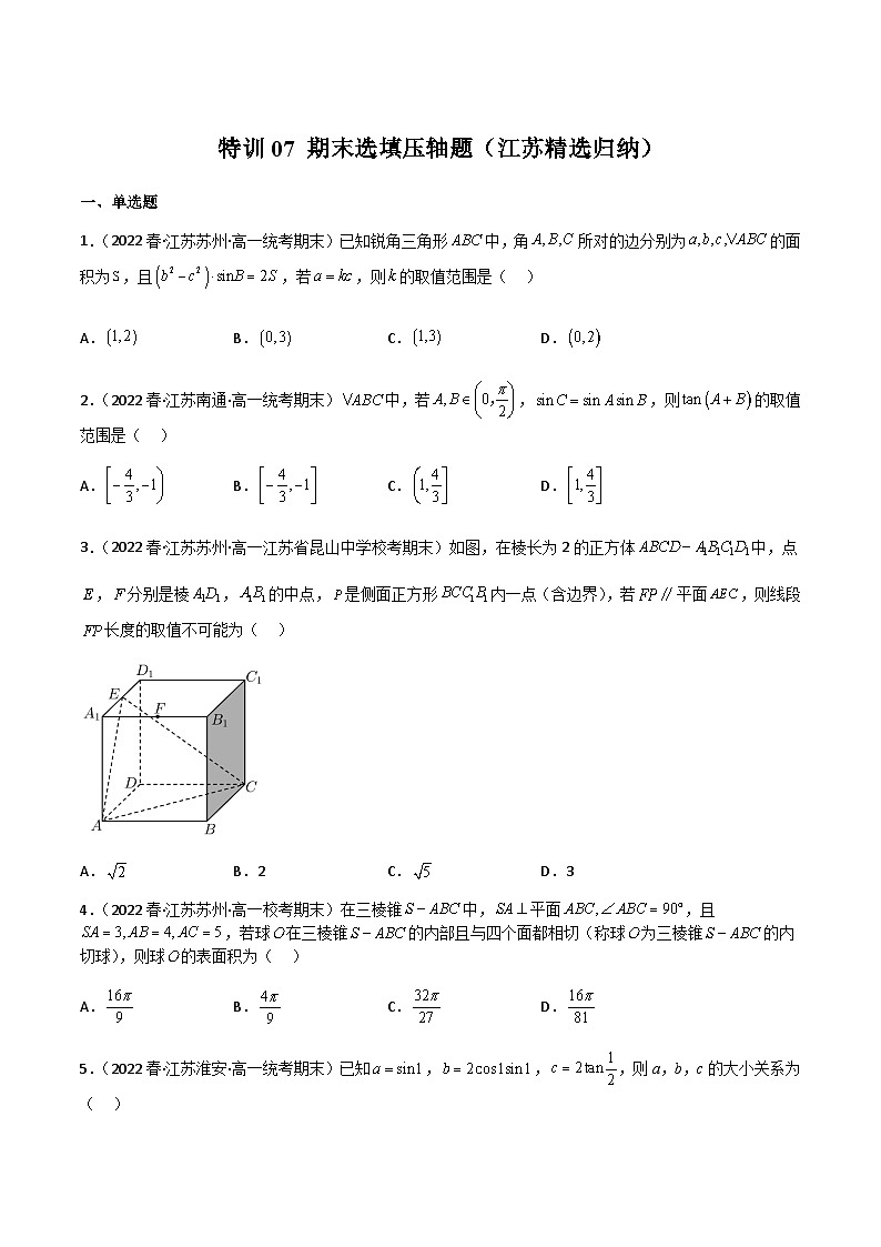 特训07 期末选填压轴题（江苏精选归纳）-2023-2024学年高一数学下学期期中期末重难点冲刺（苏教版2019必修第二册）01