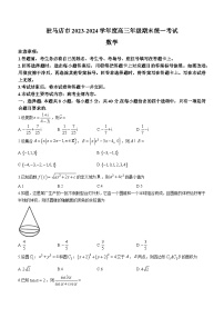 河南省驻马店市2023-2024学年高三上学期期末统一考试数学试题+