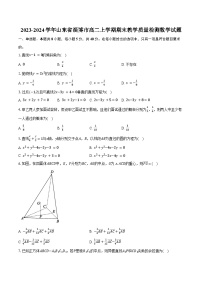 2023-2024学年山东省淄博市高二上学期期末教学质量检测数学试题(含解析）