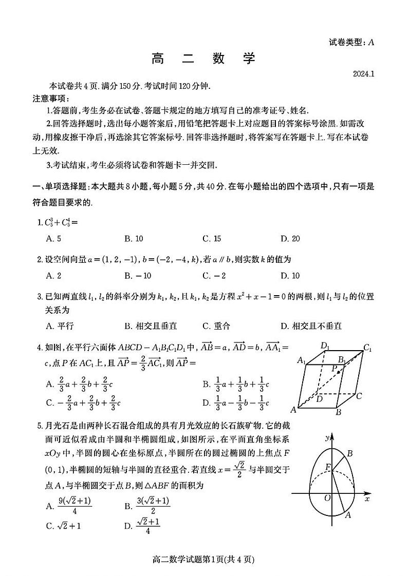 山东省潍坊市2023-2024高二上学期期末数学试卷及答案01