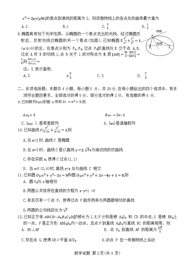 河南省周口市沈丘县几校2023-2024学年高二上学期2月期末数学试题第2页