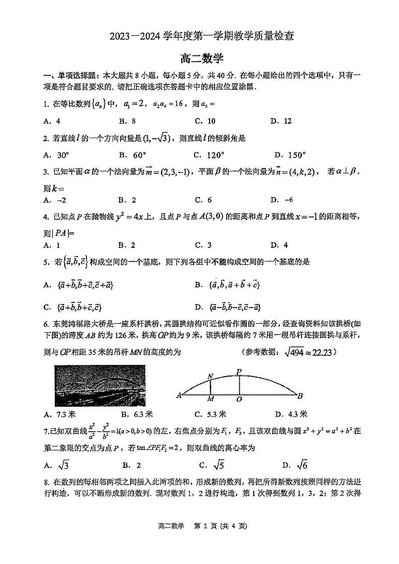 广东省东莞市2023-2024高二上学期期末质量检测数学试卷及答案01