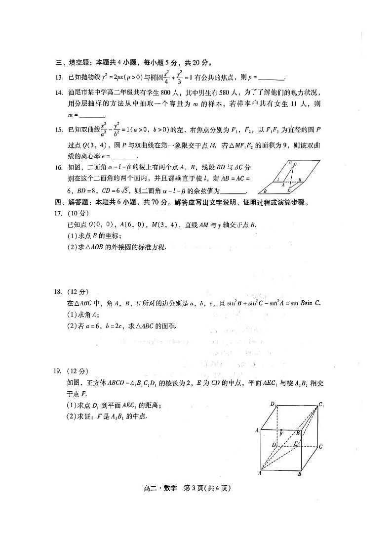 广东省汕尾市2023-2024高二上学期期末教学质量监测数学试卷及答案第3页