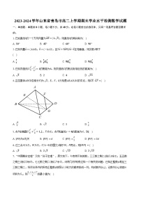 山东省青岛市2023-2024学年高二上学期期末学业水平检测数学试题