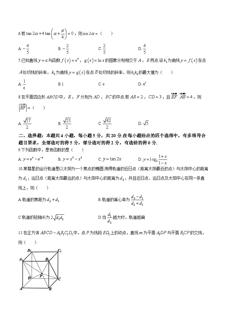 湖南省长沙市2024届高三上学期新高考适应性考试数学试卷02