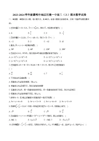 2023-2024学年新疆喀什地区巴楚一中高二(上)期末数学试卷(含解析)