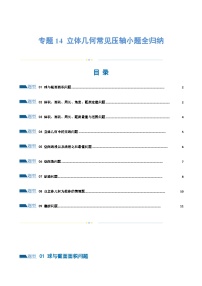 2024年高考数学二轮复习（全国通用） 专题14 立体几何常见压轴小题全归纳（练习）（原卷版+解析）