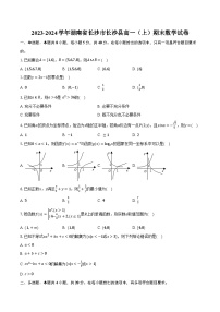 2023-2024学年湖南省长沙市长沙县高一（上）期末数学试卷(含解析）
