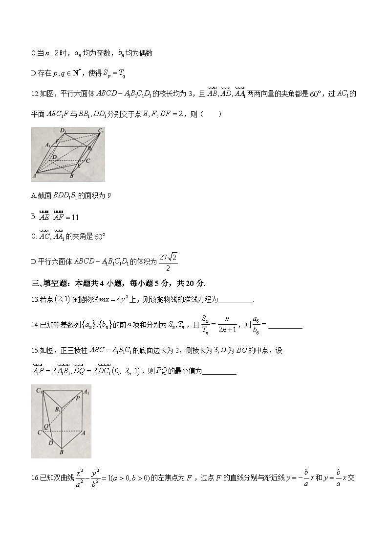 36，河北省邯郸市2023-2024学年高二上学期期末质量检测数学试题第3页