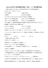 2023-2024学年上海市普陀区曹杨二中高三（上）期末数学试卷（含解析）