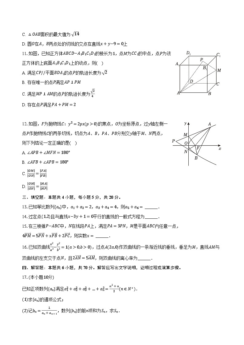 山东省枣庄市滕州市2023-2024学年高二上学期期末考试数学试题（Word版附答案）02