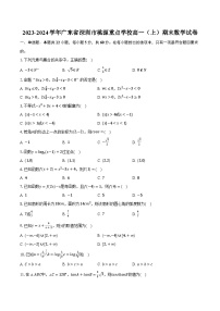 2023-2024学年广东省深圳市桃源重点学校高一（上）期末数学试卷（含解析）
