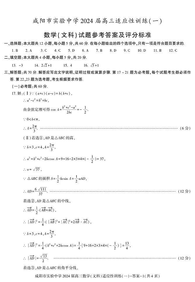 陕西省咸阳市实验中学2023-2024学年高三下学期适应性训练（一）数学（文）试题01