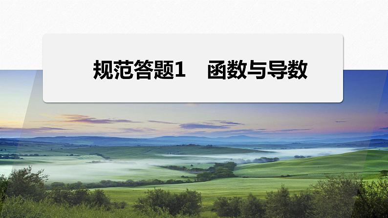 专题一　规范答题1　函数与导数 2024年高考数学大二轮复习课件（含讲义）01