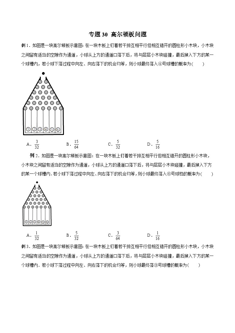 高三数学高考高分突破之概率统计专题30 高尔顿板问题（原卷版）48第1页