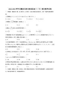 2022-2023学年安徽省合肥市肥西县高二（下）期末数学试卷v