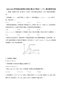 2022-2023学年湖北省武汉市部分重点中学高二（下）期末数学试卷（含详细答案解析）
