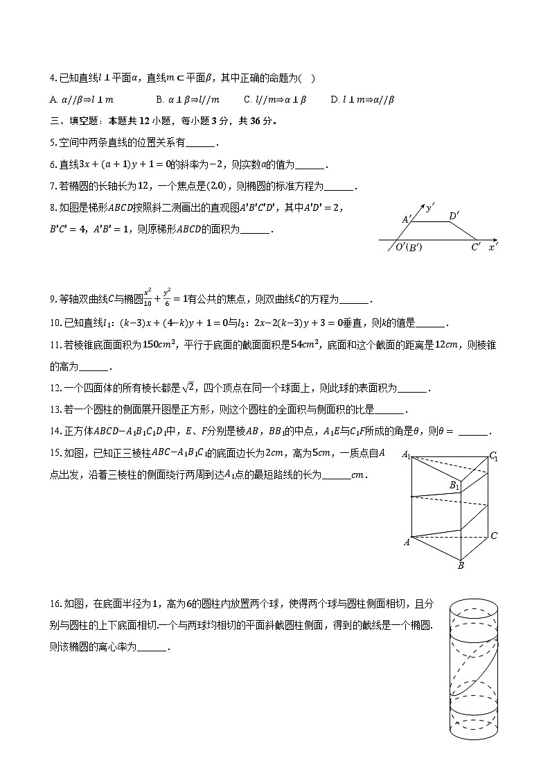 2023-2024学年上海市浦东新区高桥中学高二（上）期末数学试卷（含解析）02