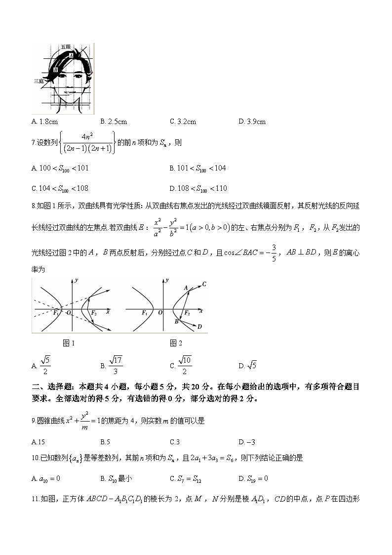 2024蚌埠高二上学期期末考试数学含答案02