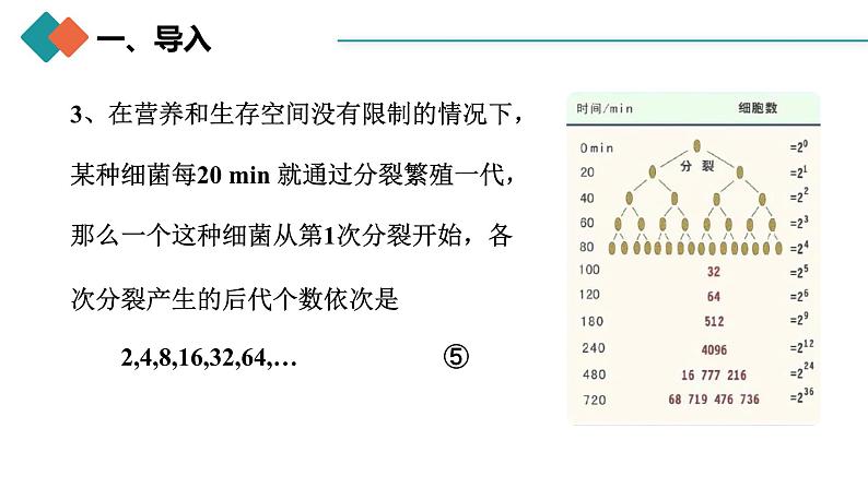 人教A版 高中数学 选修二4.3.1等比数列的概念（第一课时）课件+练习05