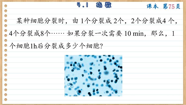 苏教版高中数学必修第一册 第4章 4.1  指数  PPT课件03