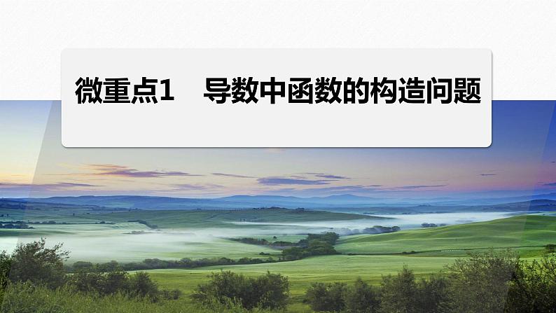 专题一　微重点1　导数中函数的构造问题--高三高考数学复习-PPT01