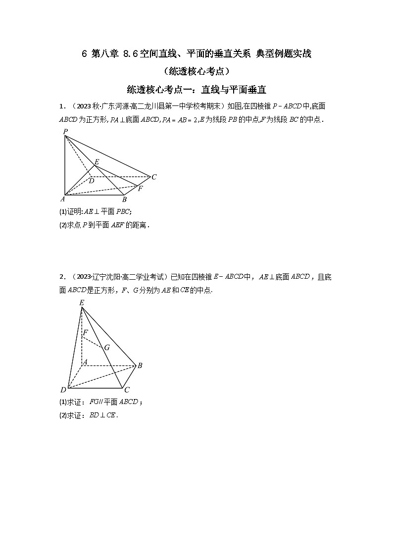 6 第八章 8.6空间直线、平面的垂直关系 典型例题实战（练透核心考点）（原卷版）第1页