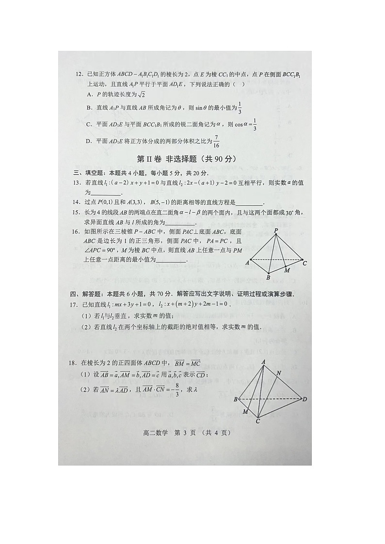辽宁省重点高中沈阳市郊联体2023_2024学年高二数学上学期10月月考试题扫描版03