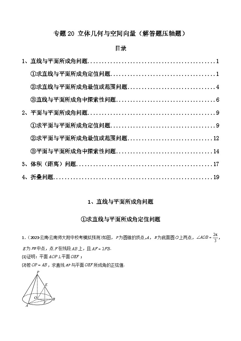 专题20 立体几何与空间向量（解答题压轴题） 高考数学压轴题（新高考版）01