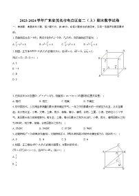 2023-2024学年广东省茂名市电白区高二（上）期末数学试卷(含解析）