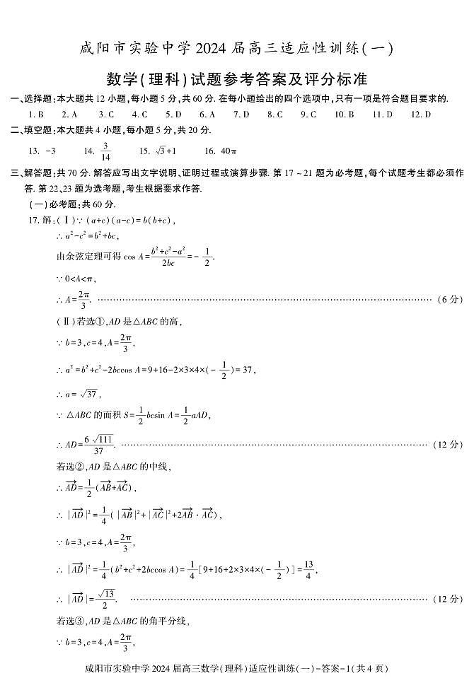 陕西省咸阳市实验中学2023-2024学年高三下学期适应训练（一）高考模拟理科数学试题及答案01