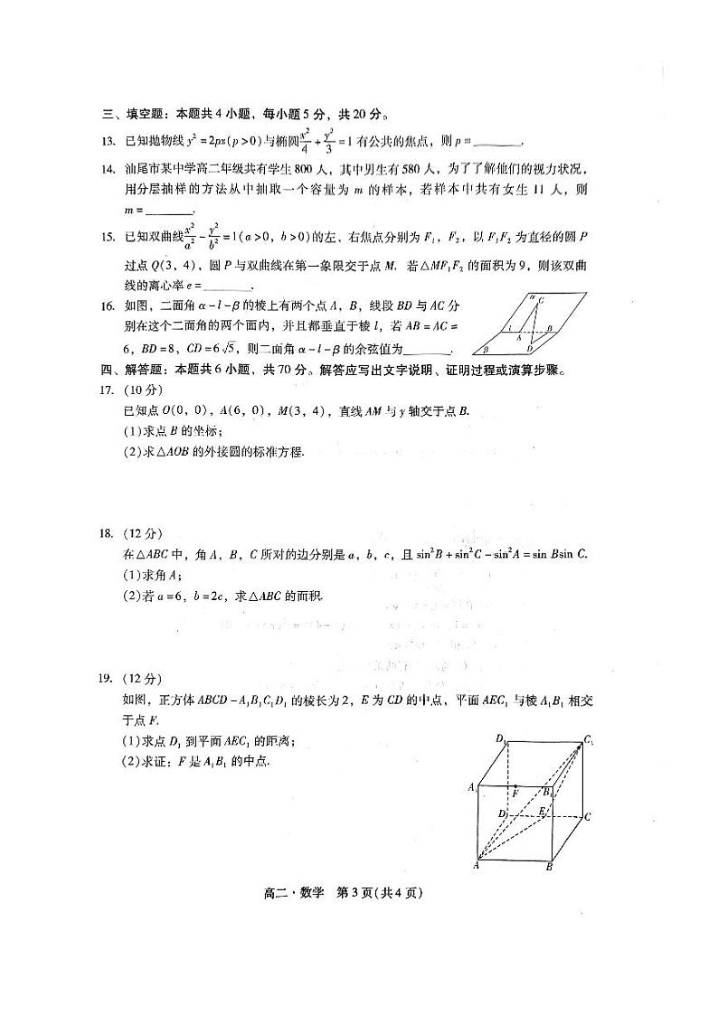 广东汕尾2023-2024学年高二上学期1月期末数学试题（含答案）第3页