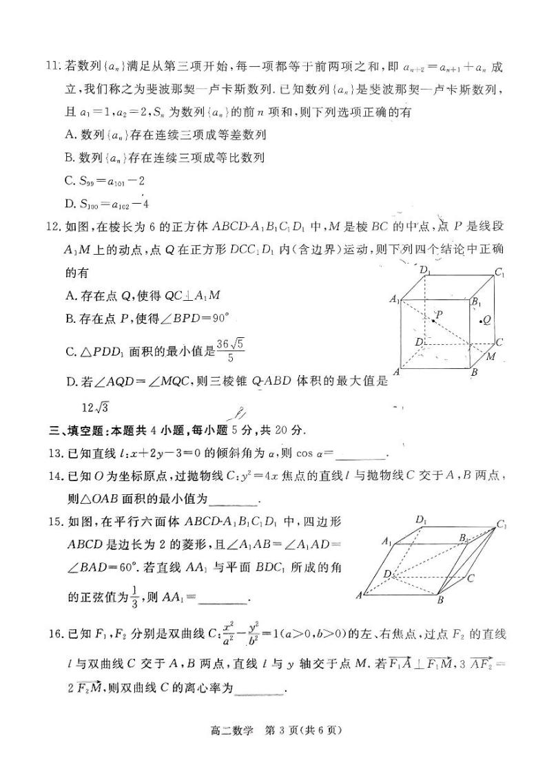 广东湛江2023-2024学年高二上学期期末调研考试数学试题（含答案）03