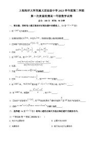 上海海洋大学附属大团高级中学2023-2024学年高一下学期3月月考数学试卷（原卷版+解析版）