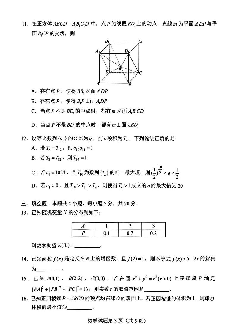 湖南长沙2024届高三上学期新高考适应性考试数学试卷（含答案）03