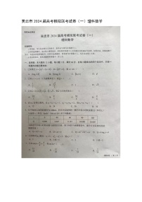 宁夏吴忠市2024届高三下学期高考模拟联考（一）理科数学试卷
