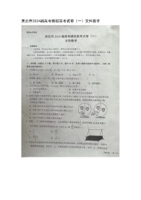 宁夏吴忠市2024届高三下学期高考模拟联考（一）文科数学试卷