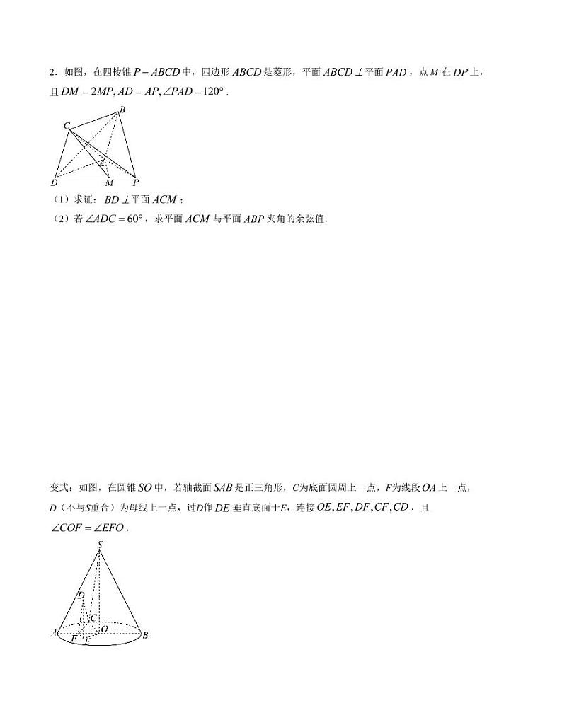 大题强化及变式训练（1）-2024届高三数学二轮复习大题强化及变式训练（新高考九省联考题型）（原卷版）第2页