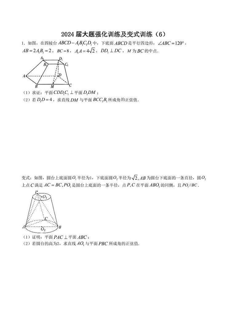 大题强化训练及变式训练（6）-2024届高三二轮复习大题强化训练及变式训练（新高考九省联考题型）（原卷版）第1页