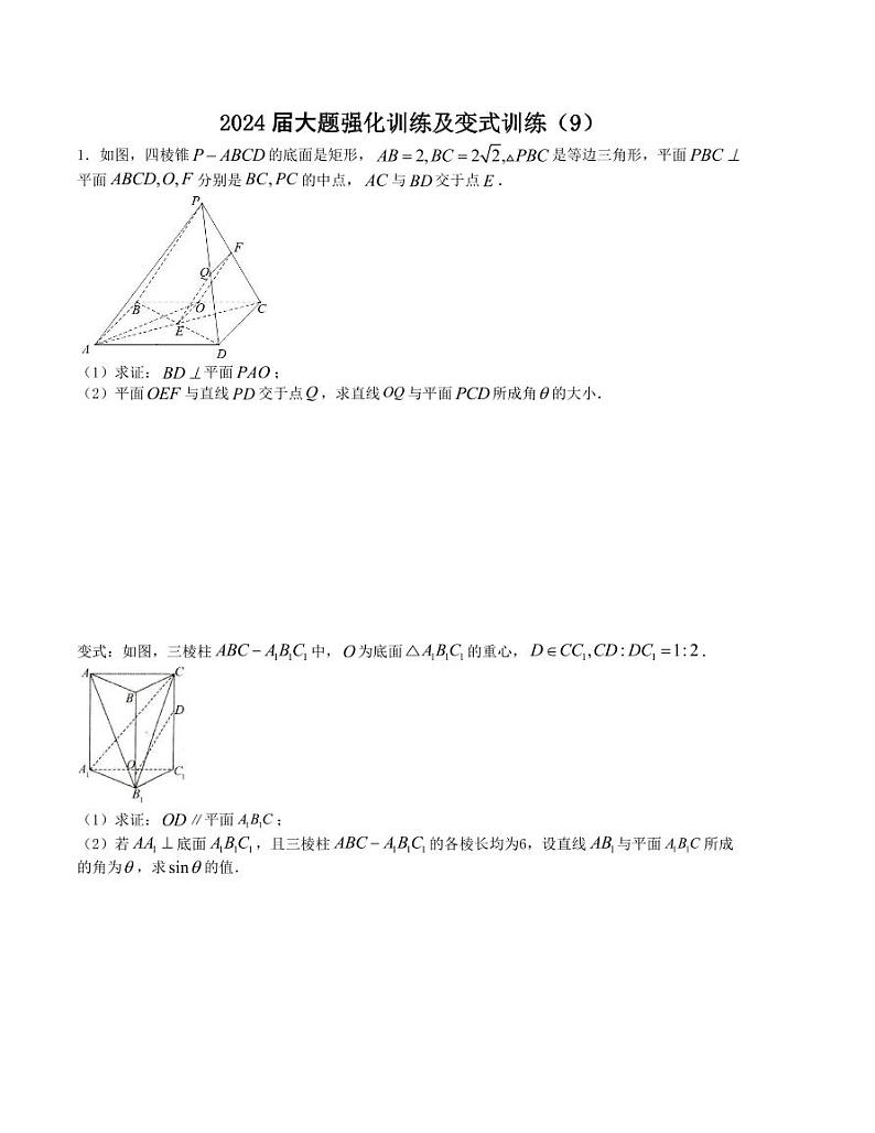 大题强化及变式训练（9）-2024届高三数学二轮复习大题强化及变式训练（新高考九省联考题型）（原卷+解析版）01