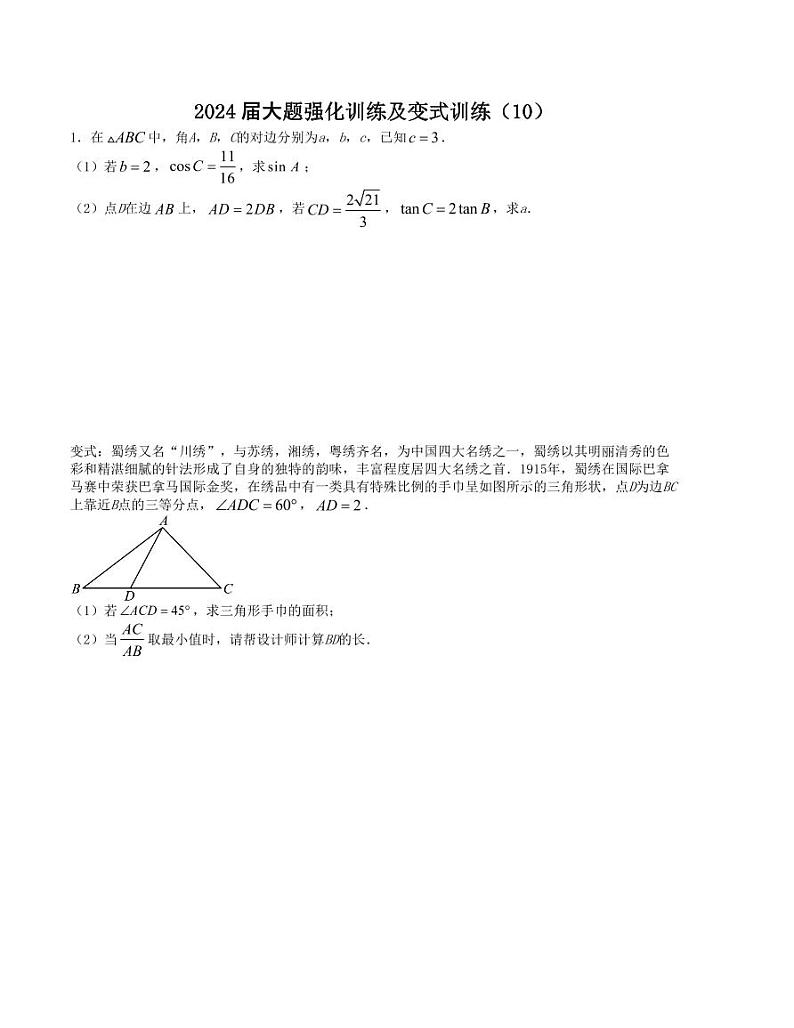 大题强化及变式训练（10）-2024届高三数学二轮复习大题强化及变式训练（新高考九省联考题型）（原卷+解析版）01