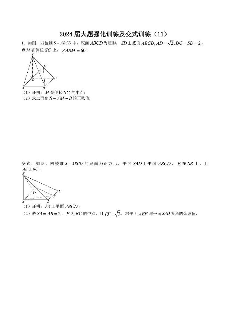 大题强化训练及变式训练（11）-2024届高三数学二轮复习大题强化及变式训练（新高考九省联考题型）（原卷版）第1页
