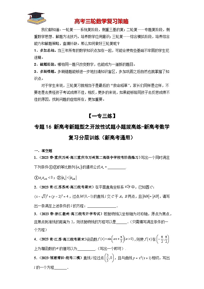 专题16 新高考新题型之开放性试题小题拔高练（原卷版）第1页