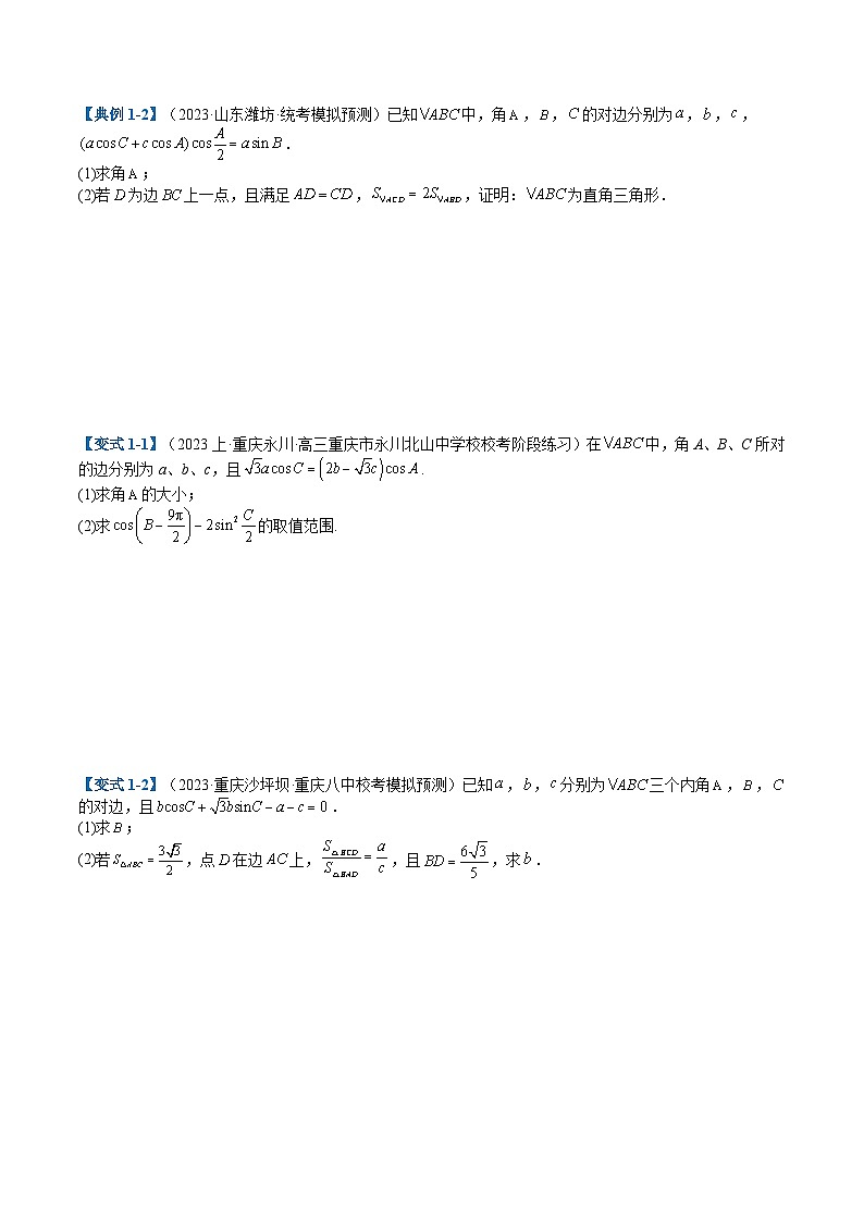 2024年新高考数学题型全归纳讲义第十二讲解三角形大题综合归类(原卷版+解析)02