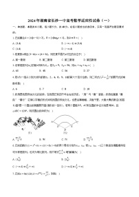 2024年湖南省长沙一中高考数学适应性试卷（一）（含解析）