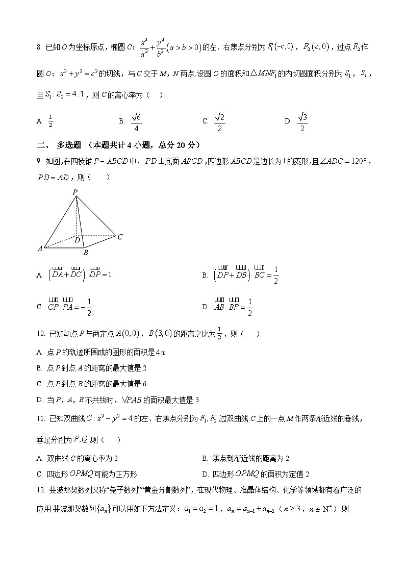 安徽省安庆市桐城中学2023-2024学年高二下学期开学考试数学试卷（Word版附解析）02