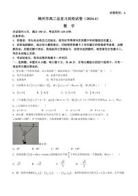 广东省梅州市2024届高三下学期总复习质检（二模）数学试题（附参考答案）